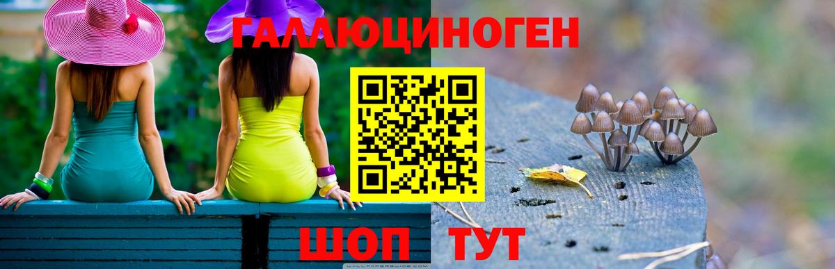 Псилоцибиновые грибы Psilocybe Нижневартовск